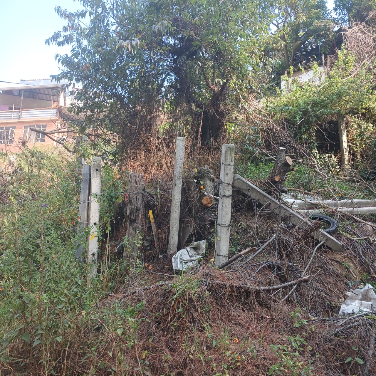 Foto 6