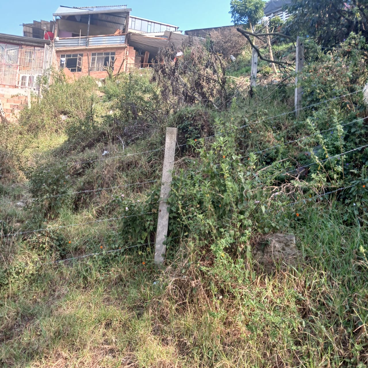 Foto 4