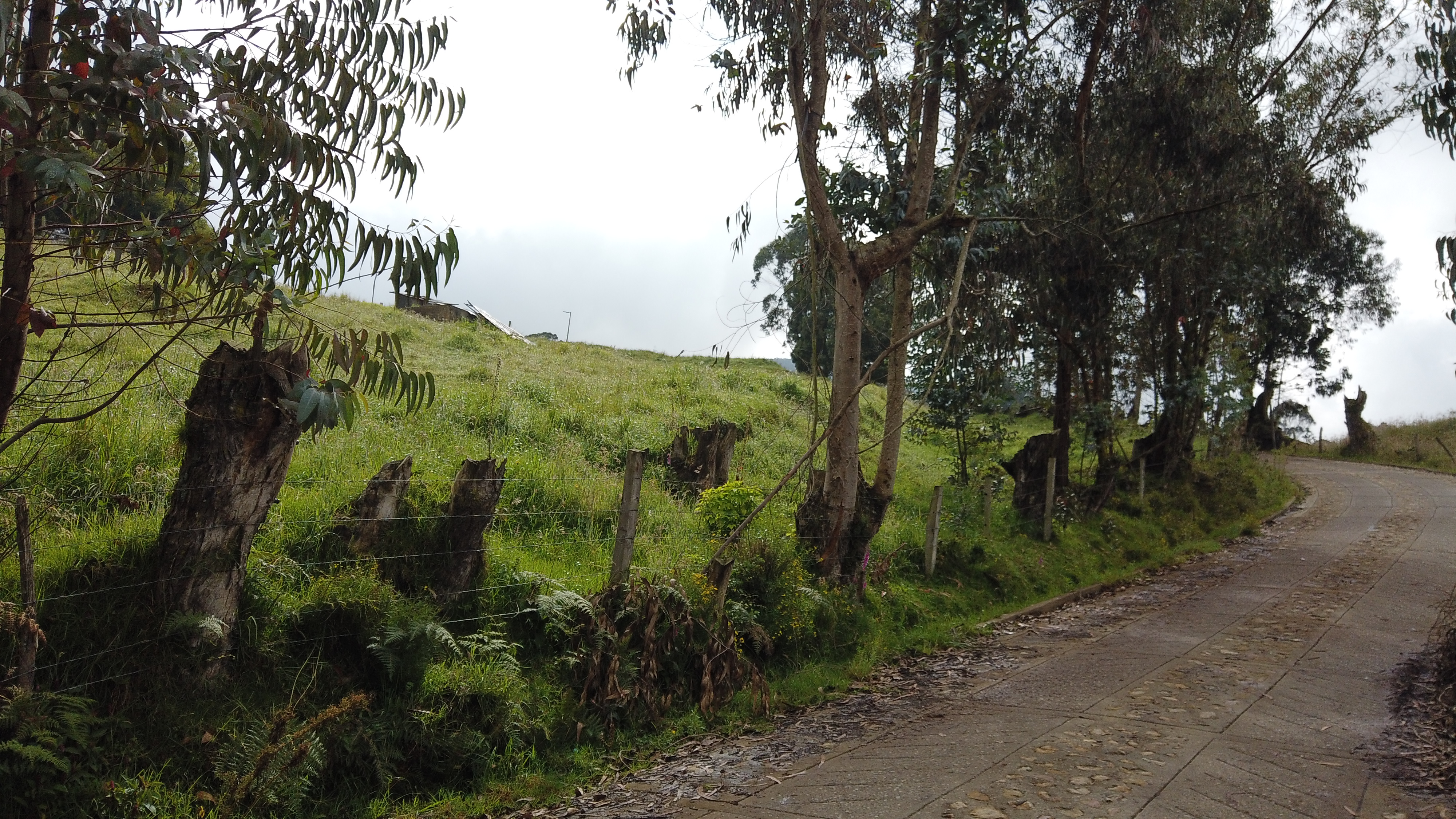 Vereda Mancilla